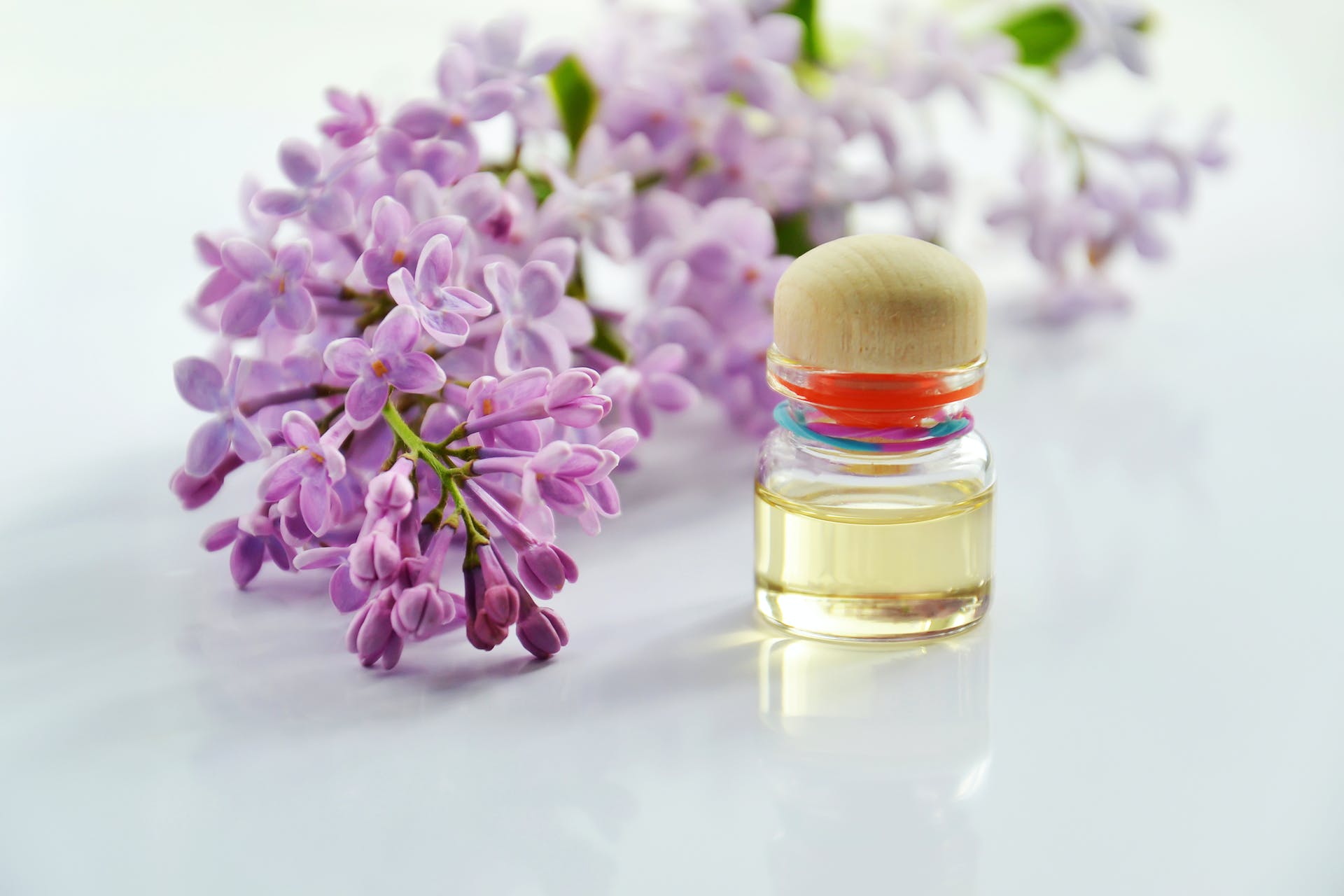 Essential Oils Home Remedy For Insect Bites